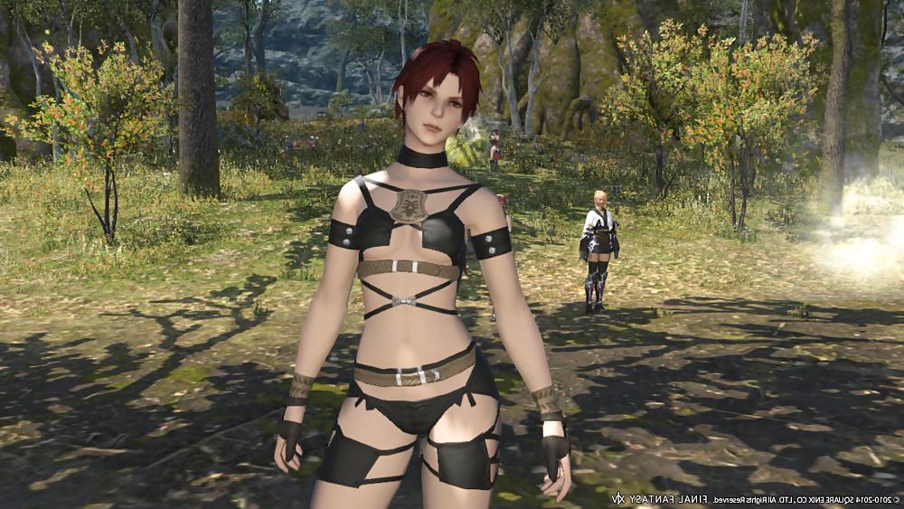 25P More Sexy FFXIV Babes