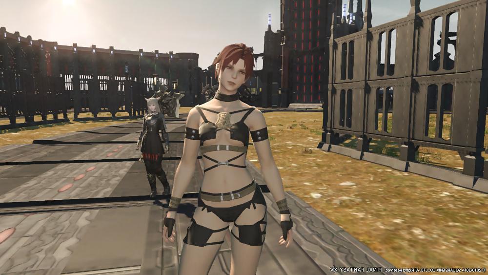 25P More Sexy FFXIV Babes