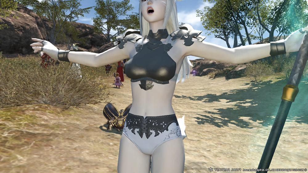 25P More Sexy FFXIV Babes