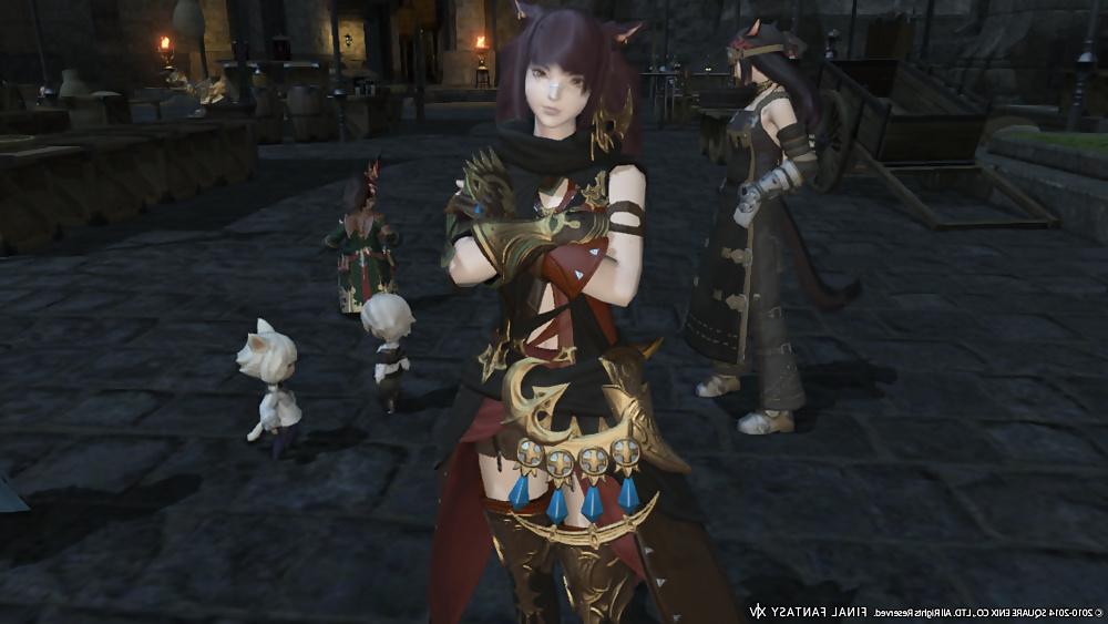 25P More Sexy FFXIV Babes