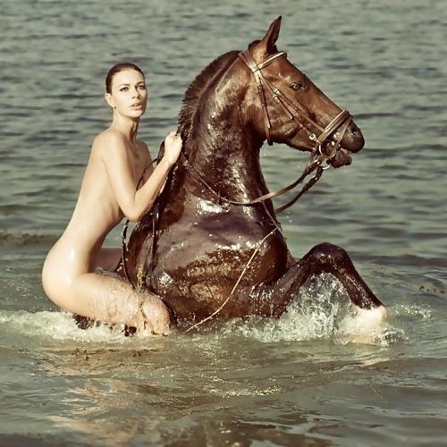 25P Babes On Horses