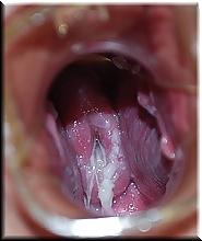 19P Cumshot and Creampie collection