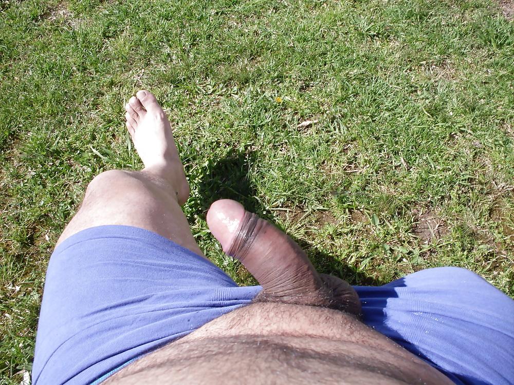 12P Radom in my Garden