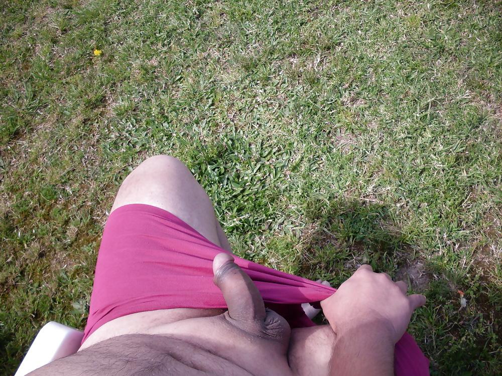 12P Radom in my Garden