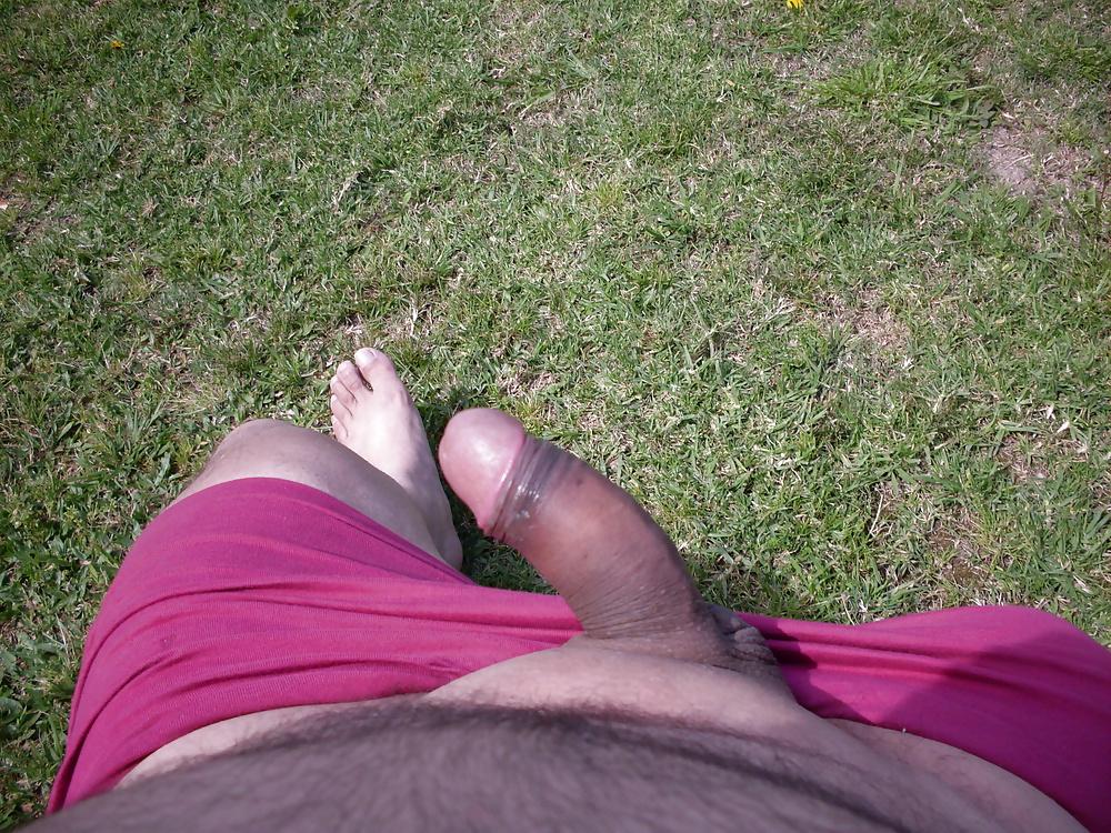 12P Radom in my Garden