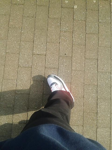 23P Socks, feet