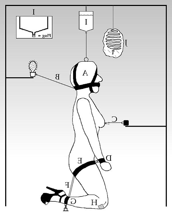 25P Self-bondage technique