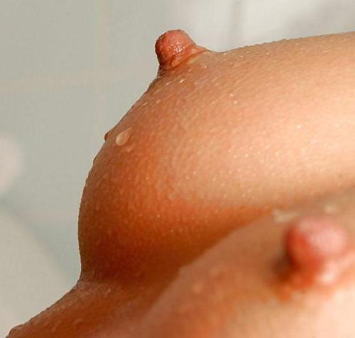 25P I Love Women With Big Nipples!!!!!!!