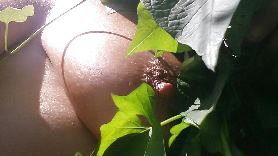 18P In The Garden...