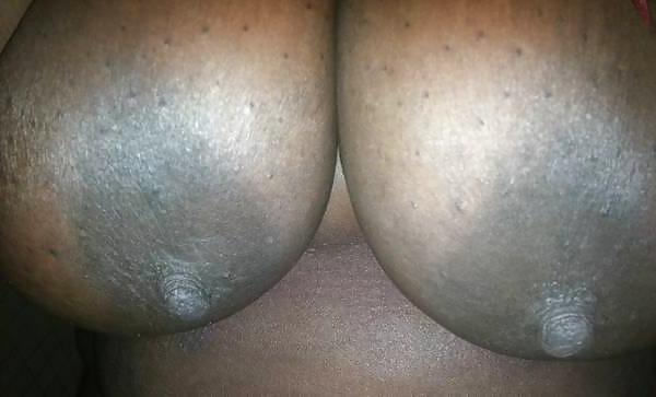 4P Bbw rat