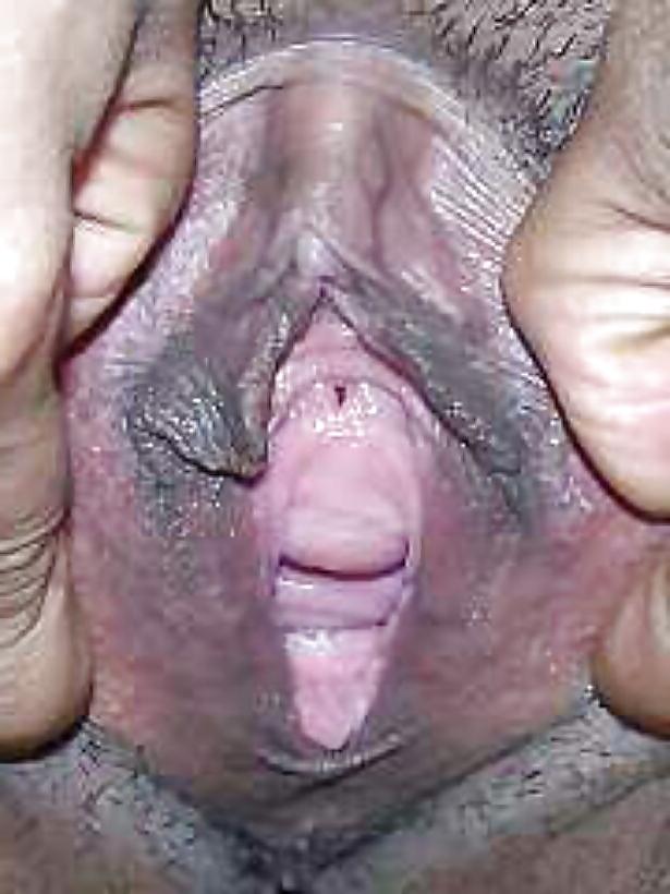 4P BBW 