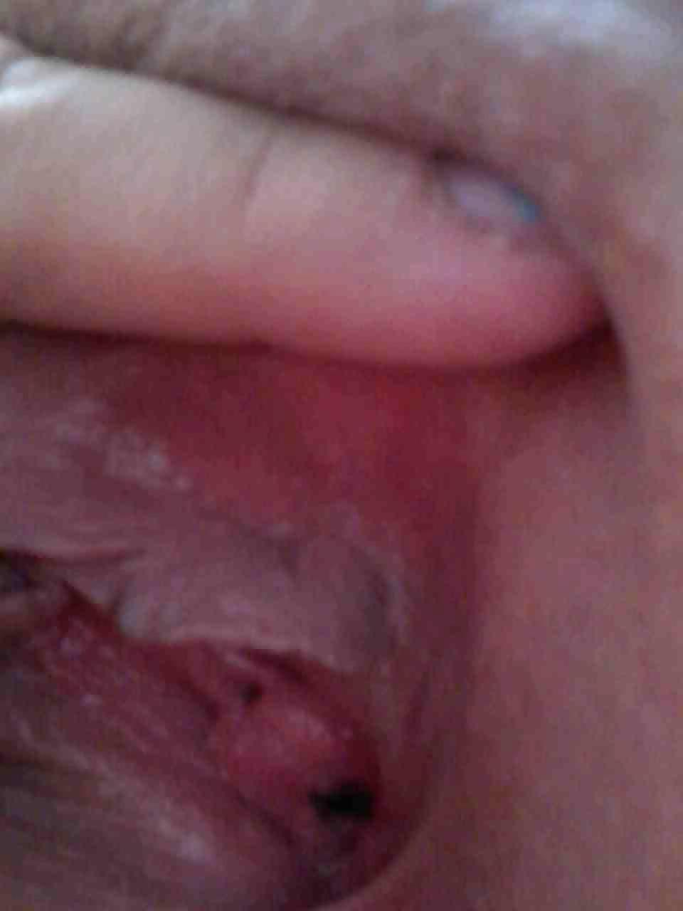 15P Close up of a creamy pie