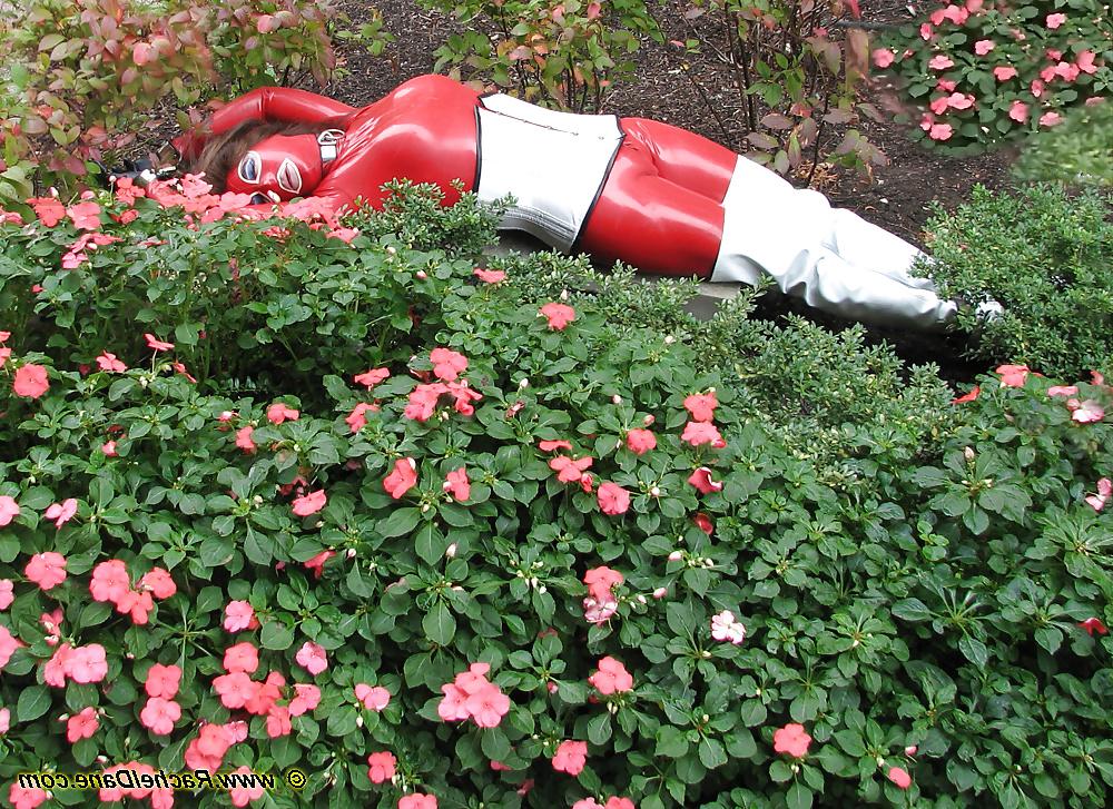 15P Flower Garden