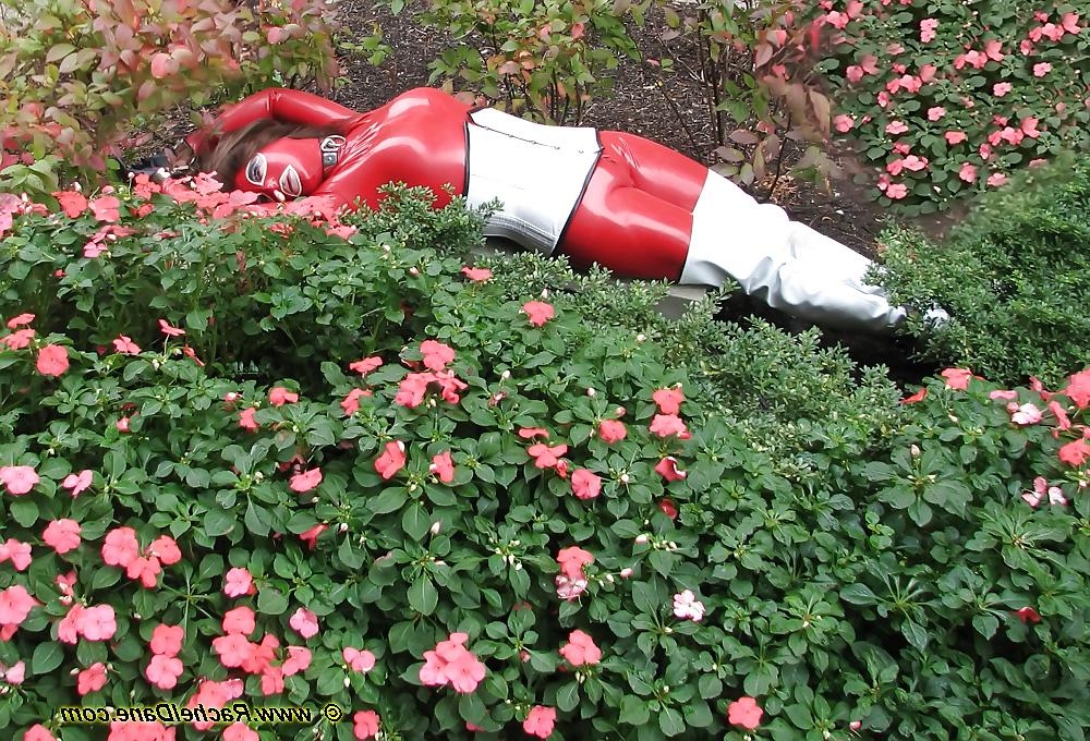 15P Flower Garden