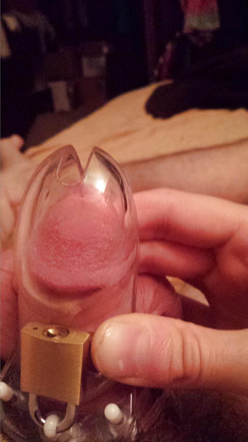 9P Small Cock in Chastity