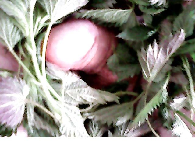 14P Cbt