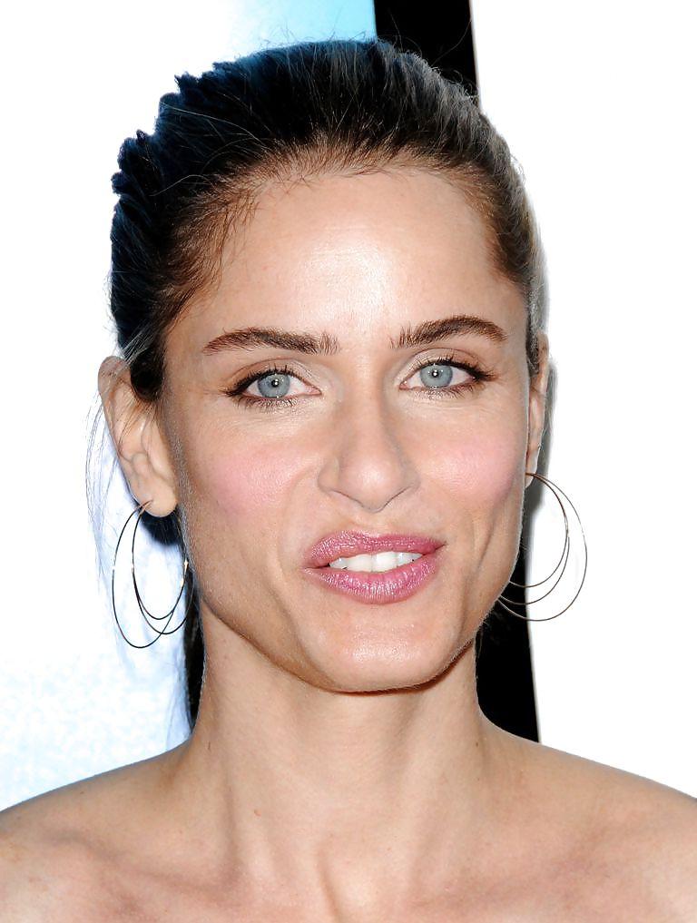 22P Best of the Best Celebrity AnalQueens