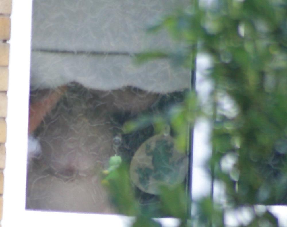 11P Neighbour Caught Showering