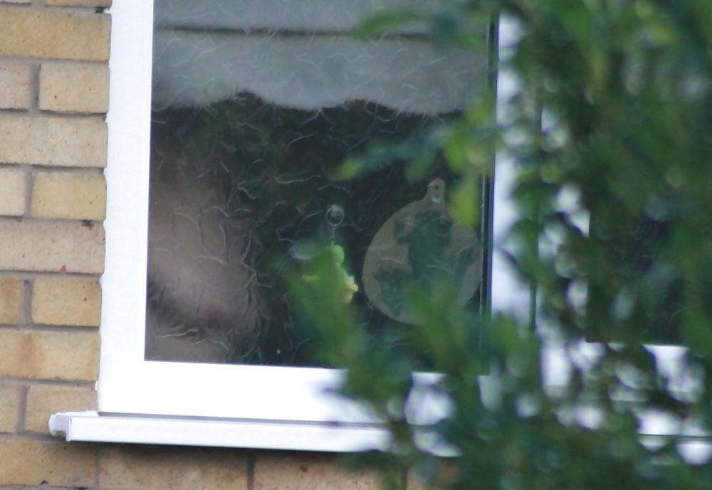 11P Neighbour Caught Showering