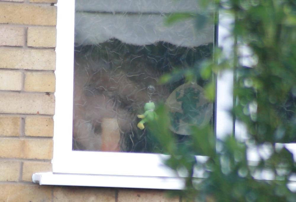 11P Neighbour Caught Showering