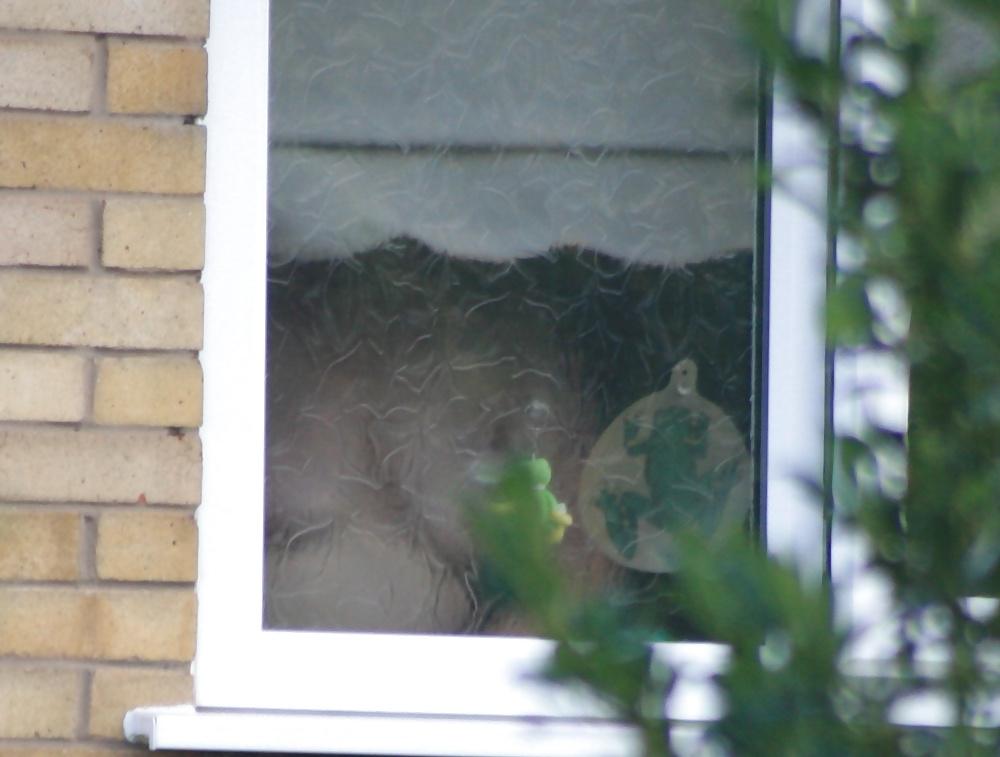 11P Neighbour Caught Showering