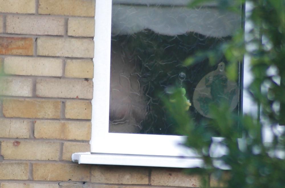 11P Neighbour Caught Showering