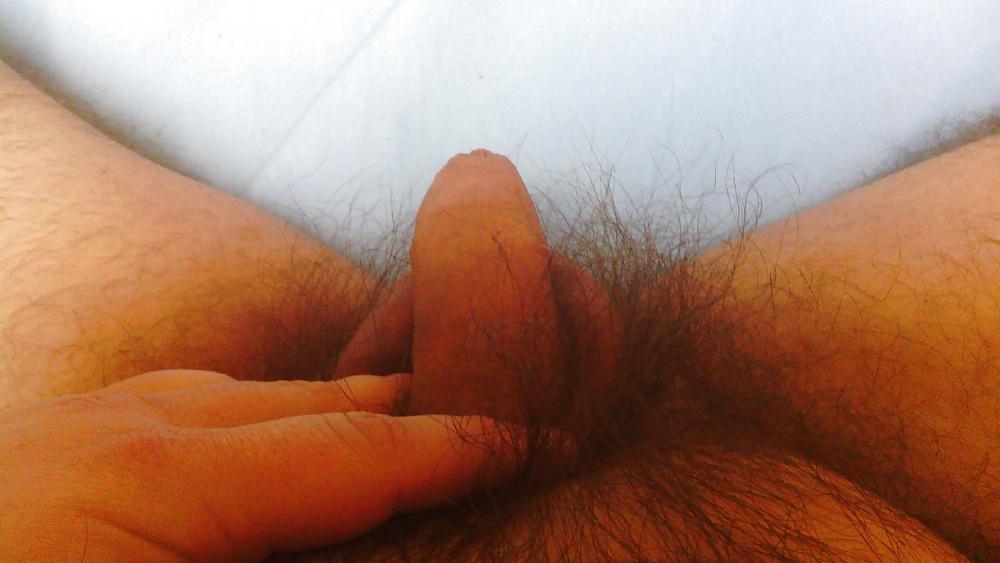 8P Behaarter kleiner Schwanz