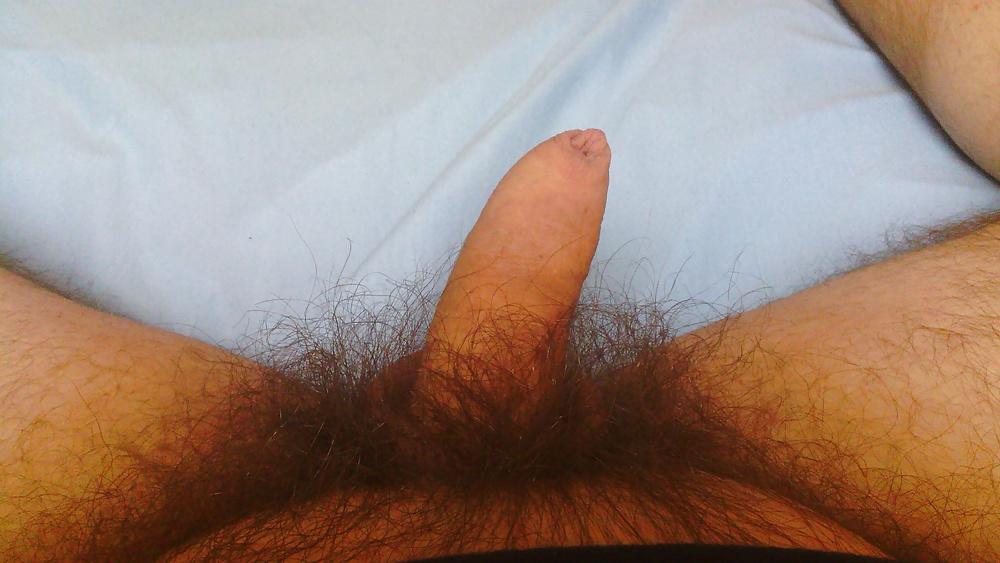 8P Behaarter kleiner Schwanz