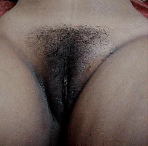 25P Bhabhi's pussy indian-part 2