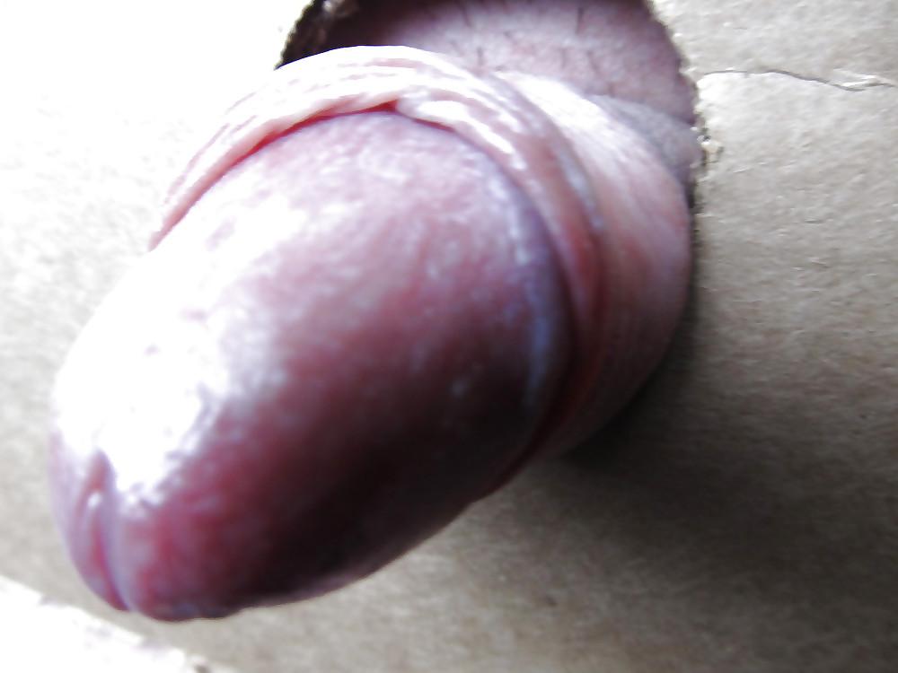 7P WET COCK SPERM CUM