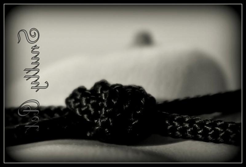 15P Fotoshoot