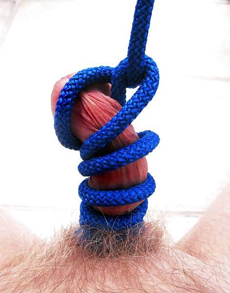 12P Cbt bitch