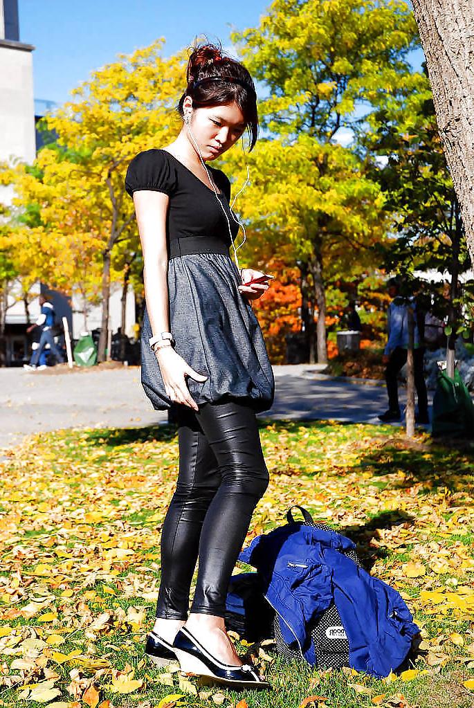 25P The best Leggings I have found in Hamsters - 2013.12.07