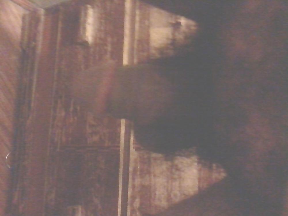 17P Random Phone Pics 2