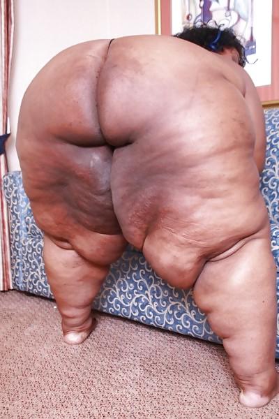 25P Massive butts V