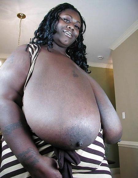 15P MS Diva
