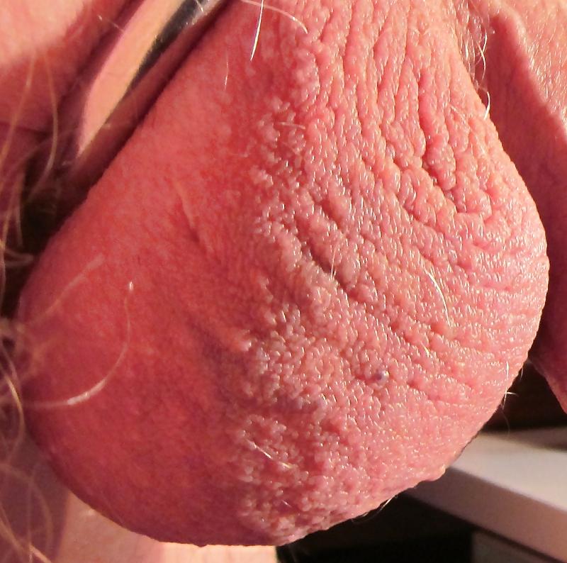 12P Closeup cock plug fun