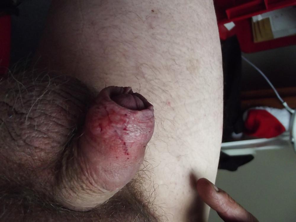 7P COCK SLAVE  CBT FARM