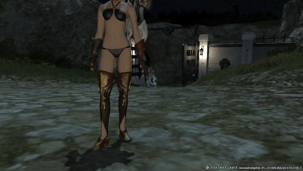 25P Even more sexy FFXIV Babes III
