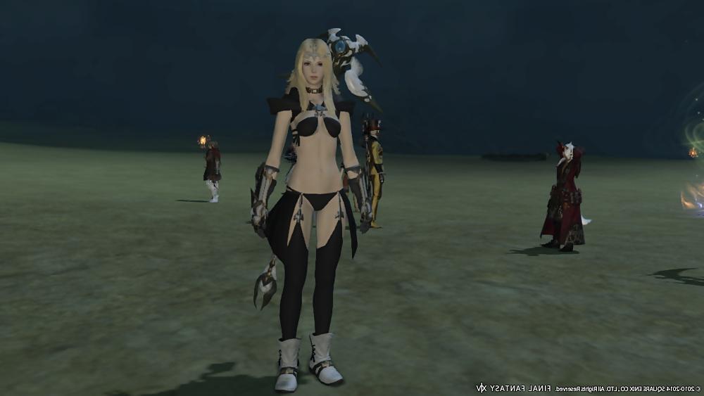 25P Even more sexy FFXIV Babes III