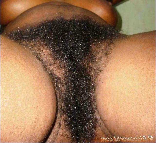 25P Big Tits an Hairy Exotic Amateurs!!