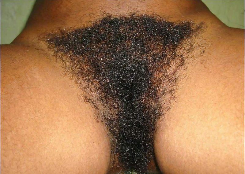 25P Big Tits an Hairy Exotic Amateurs!!
