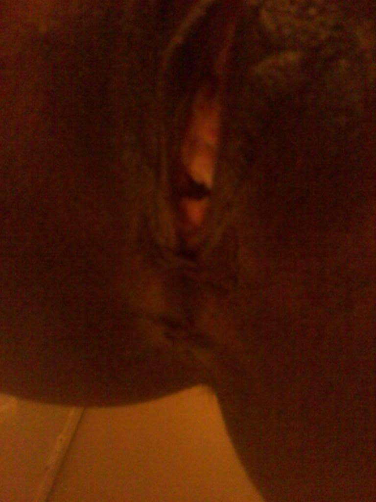 16P Photobucket Ebony Shows Off