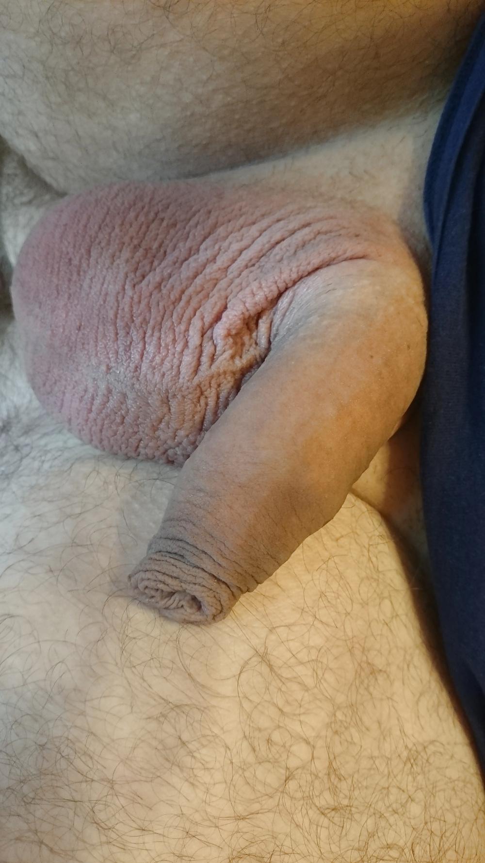 8P Small uncut cock