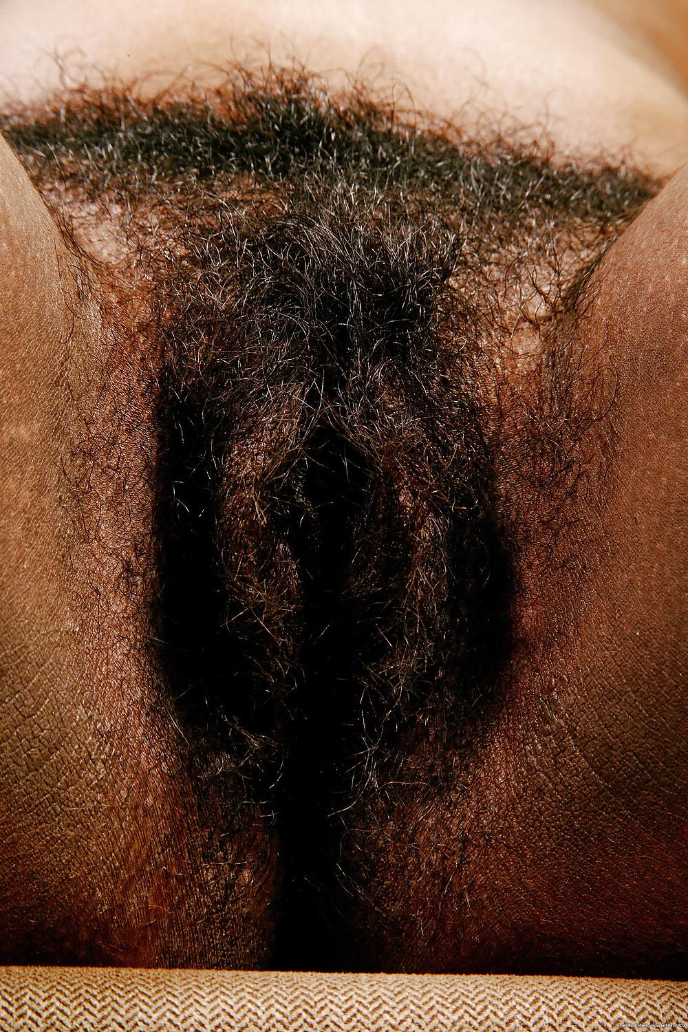 13P Thick Hairy Ebony Muff