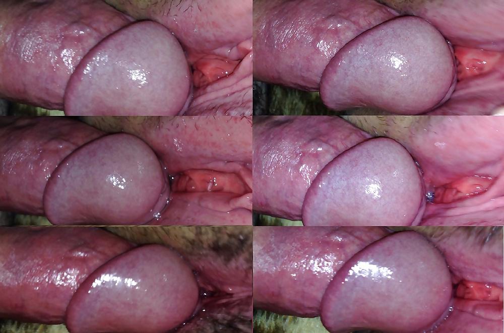 14P Fucked raw squirting creampie