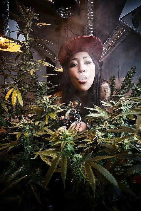 23P Garden Girls