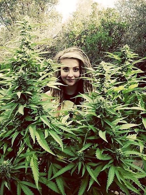 23P Garden Girls