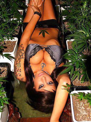 23P Garden Girls