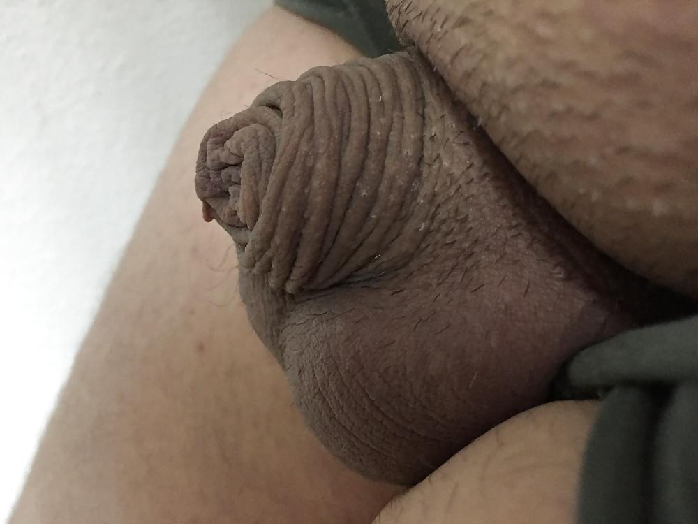 12P Small White Cock